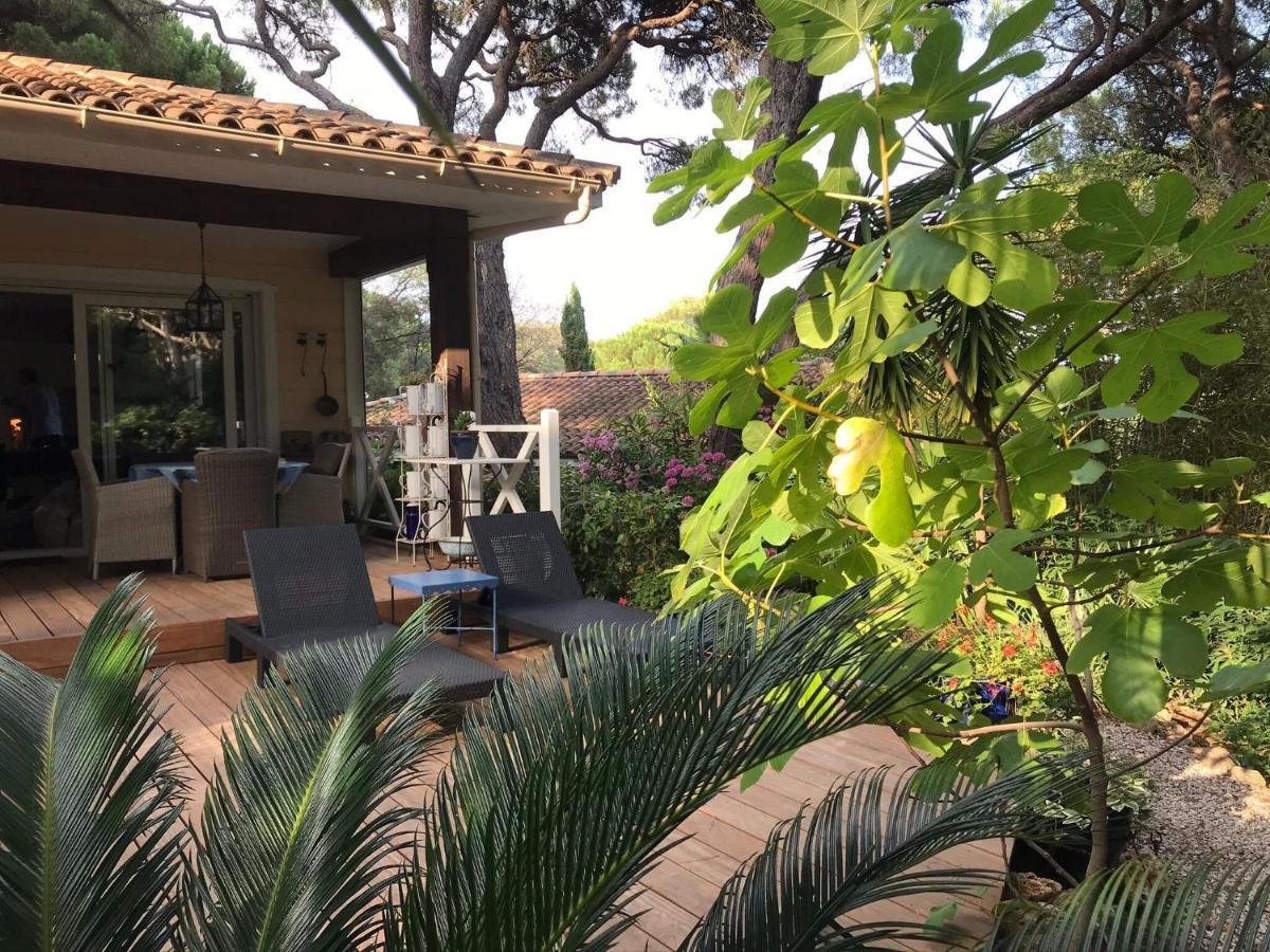 In Provence Near The Beaches Of Pampelonne * Grimaud