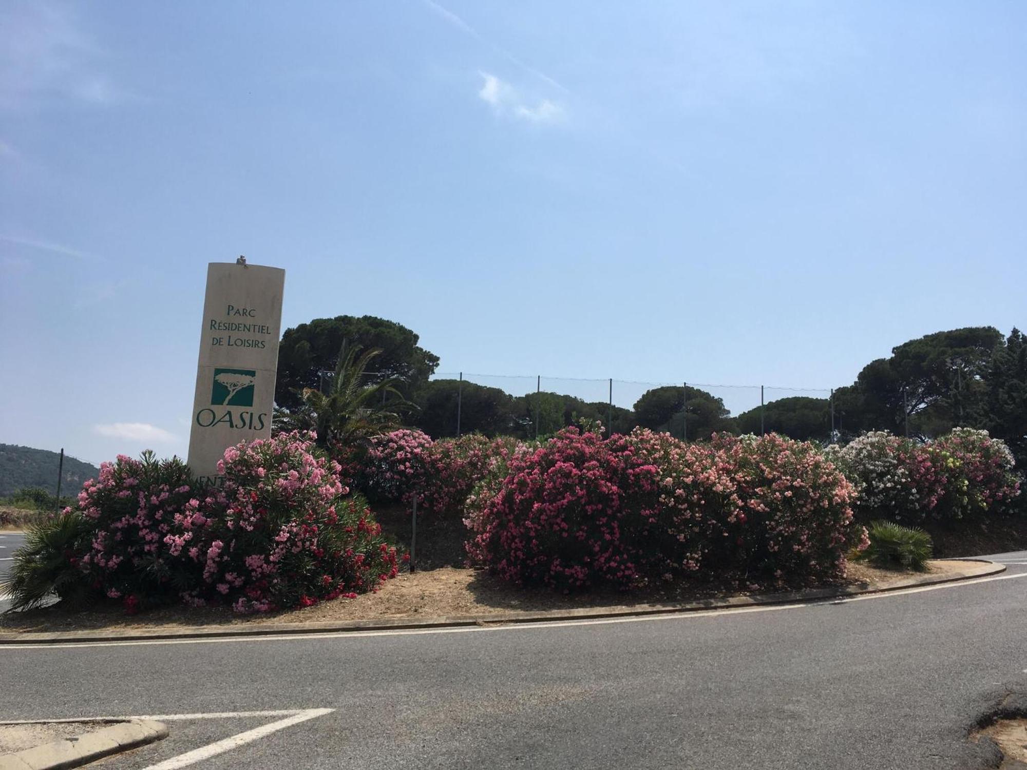 In Provence Near The Beaches Of Pampelonne * Grimaud
